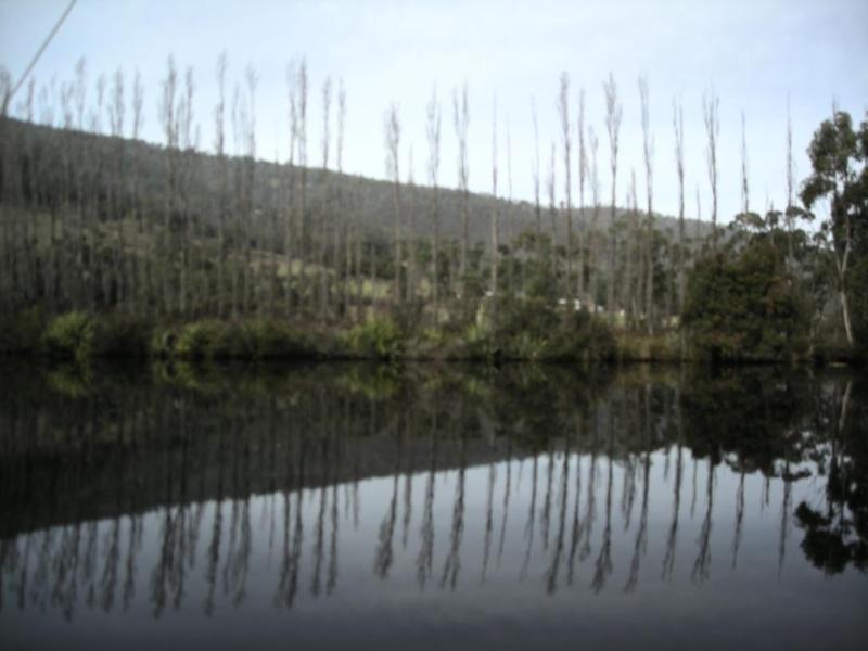 Port Huon Cottages Kültér fotó